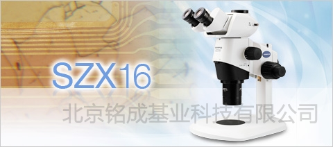 SZX16体视荧光显微镜SZX16-3331FL | SZX16体视荧光显微镜SZX16-3331FL价格参数